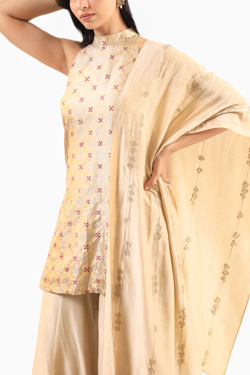 Beige Halter Banarasi Kurta Set with Embroidered Dupatta