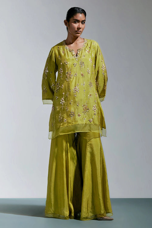 Henna Abstract Floral Embroidered Silk Sharara Set