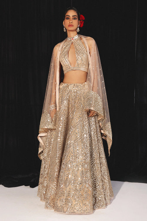 Peach Tulle Mirror Spread Dupatta With Paisley Applique