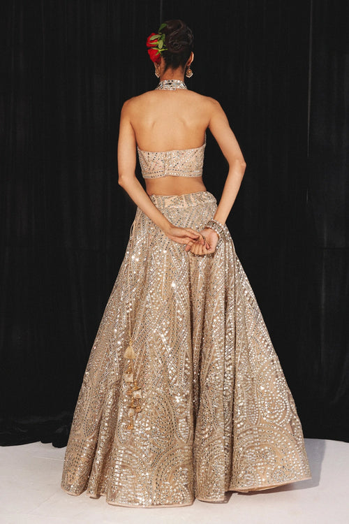 Peach Hi-Neck Halter Neck Tulle Blouse With Mirrorwork