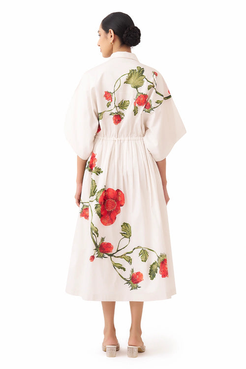 Garden Spring Dress
