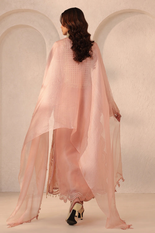 Vaayu Light Pink Heavy Jaal Scallop Kurta Set