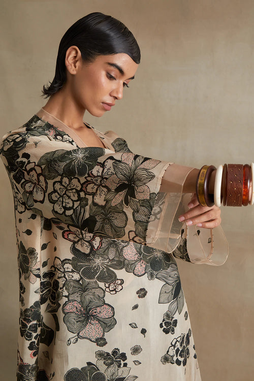 Clay Organza Detailed Silk Co-ord Set