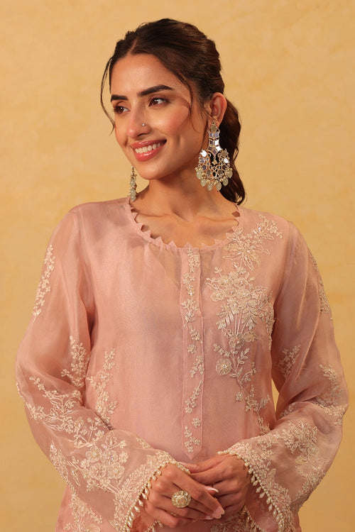 Vaayu Light Pink Jaal Straight Kurta Set