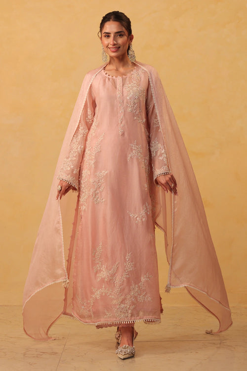 Vaayu Light Pink Jaal Straight Kurta Set