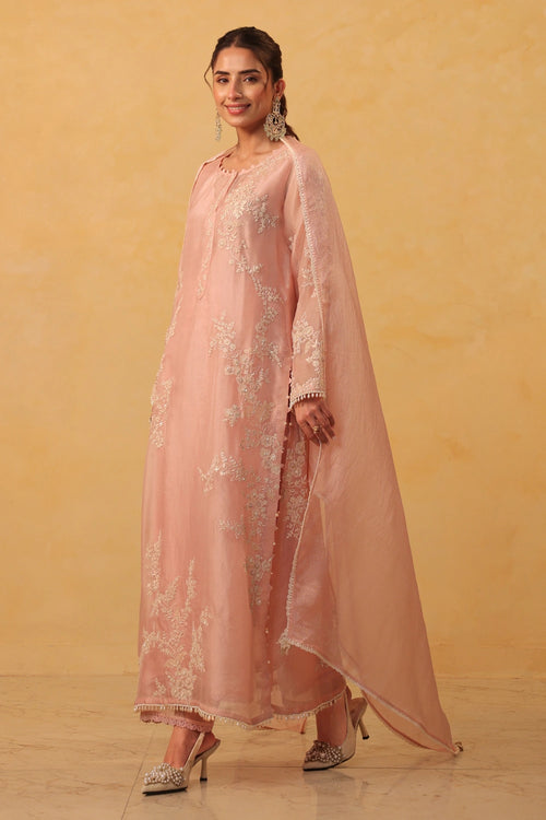 Vaayu Light Pink Jaal Straight Kurta Set