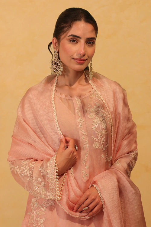 Vaayu Light Pink Jaal Straight Kurta Set