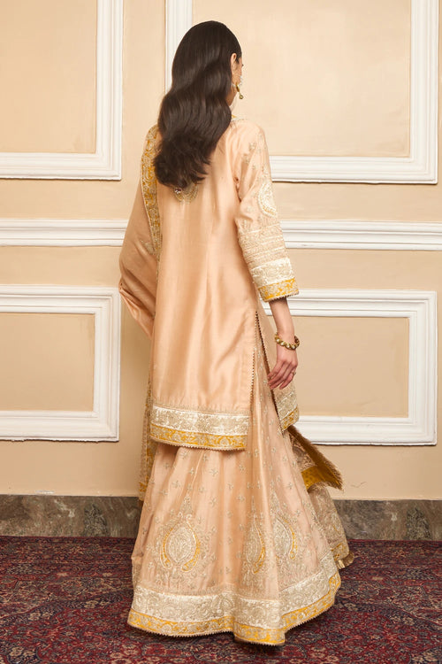 Raina Rosepink Kurta with Sharara and Dupatta