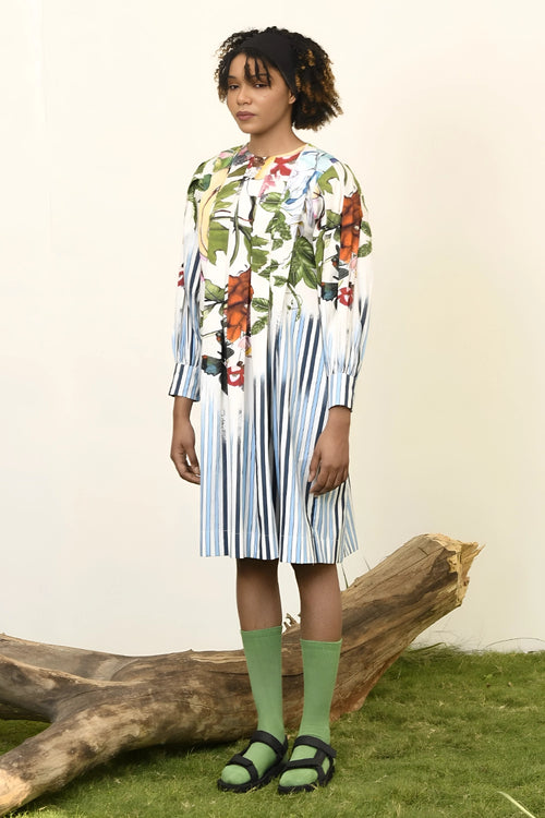 Blue Stripes Striaght & Floral Print Dress