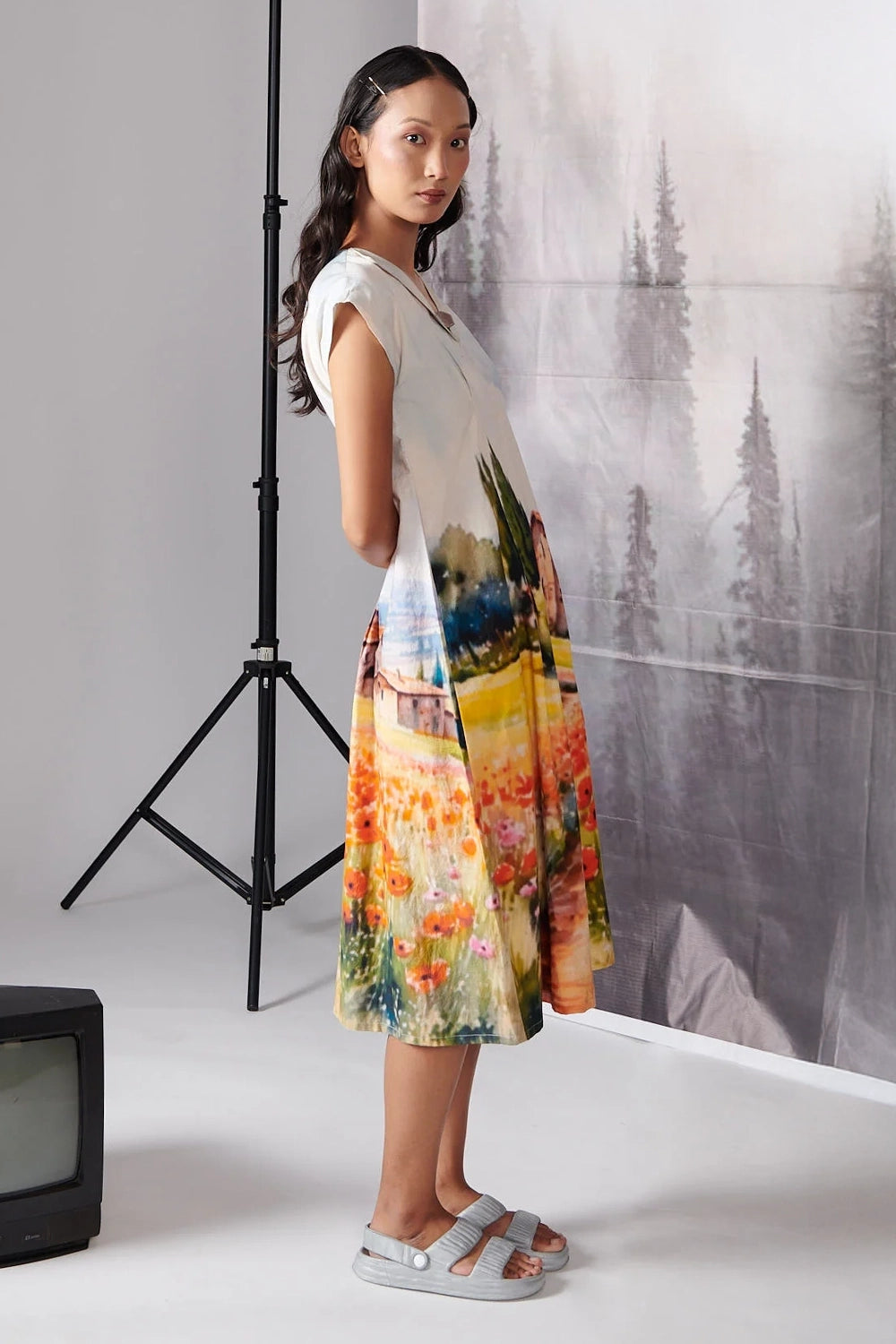 Scenary House Dress
