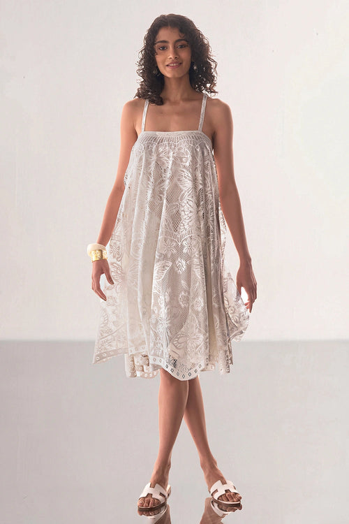 Scalloped Lace Mini Dress