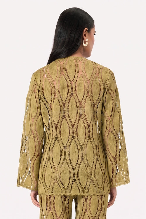 Fern Crochet Full Sleeve Top