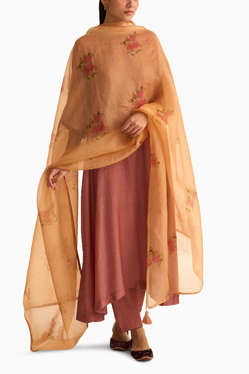 Evani Rust Organza Dupatta