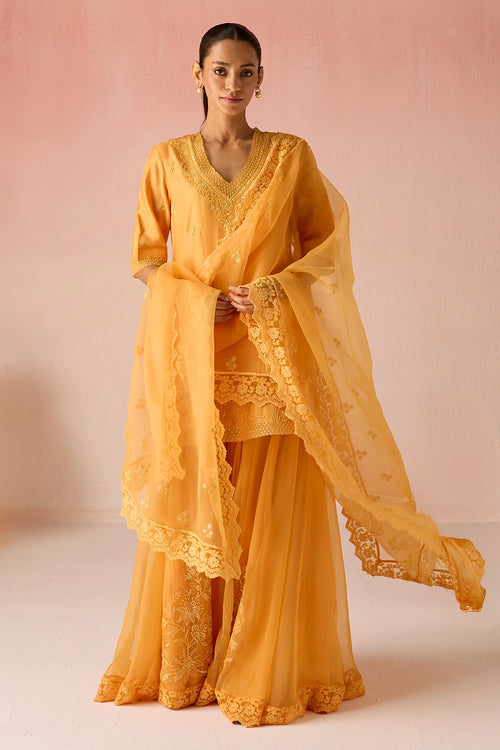 Ochre Bahaara Chanderi Silk Sharara Set
