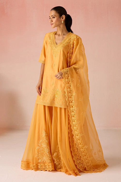 Ochre Bahaara Chanderi Silk Sharara Set