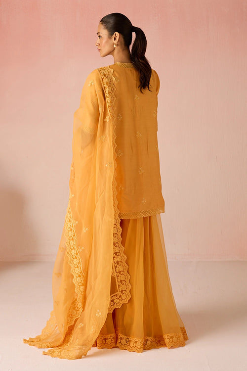 Ochre Bahaara Chanderi Silk Sharara Set