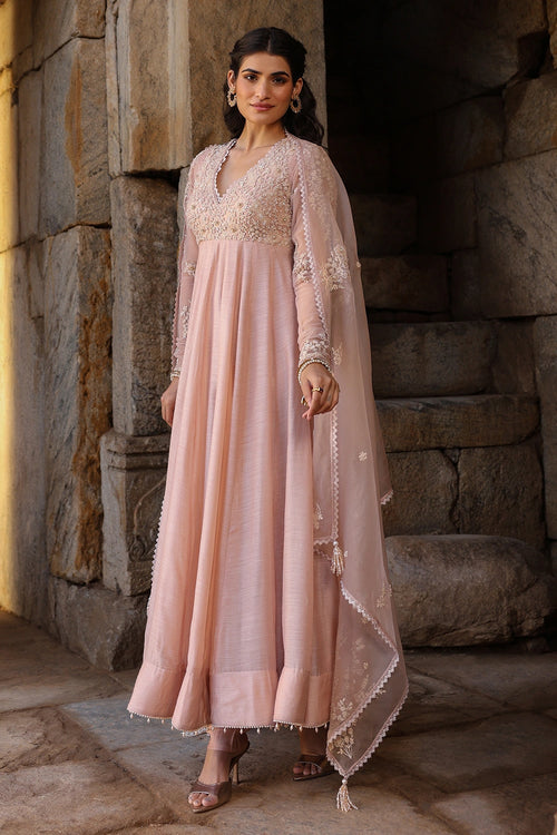Vaayu Light Pink Applique Kalidar Set