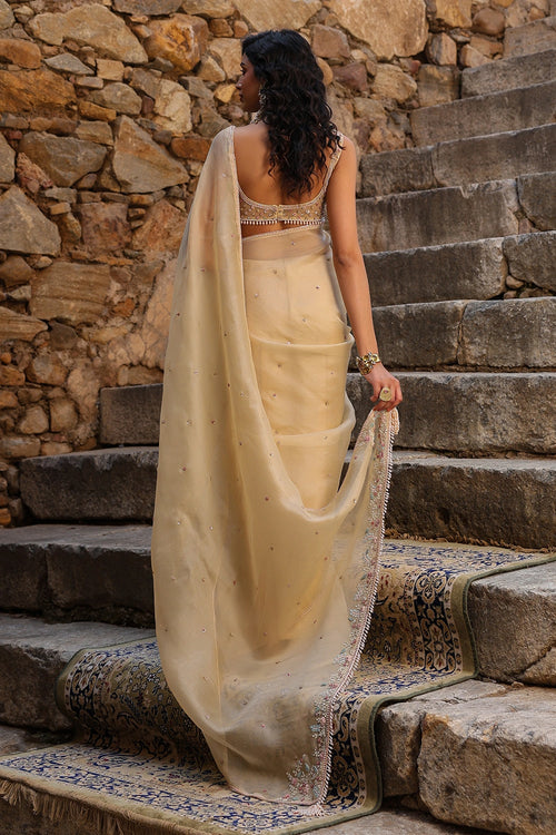 Vaayu Beige Multicolor Butti Saree Set