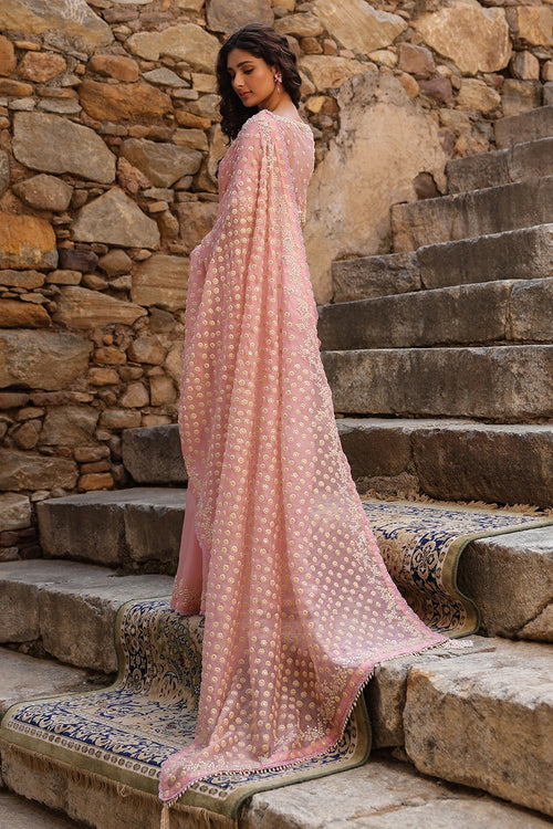 Vaayu Pink Heavy Butti Jaal Saree Set