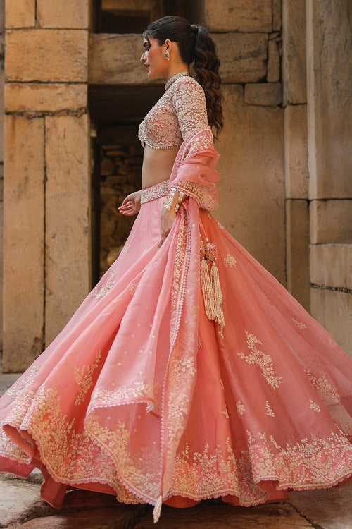 Vaayu Pink Guldasta Lehenga Set