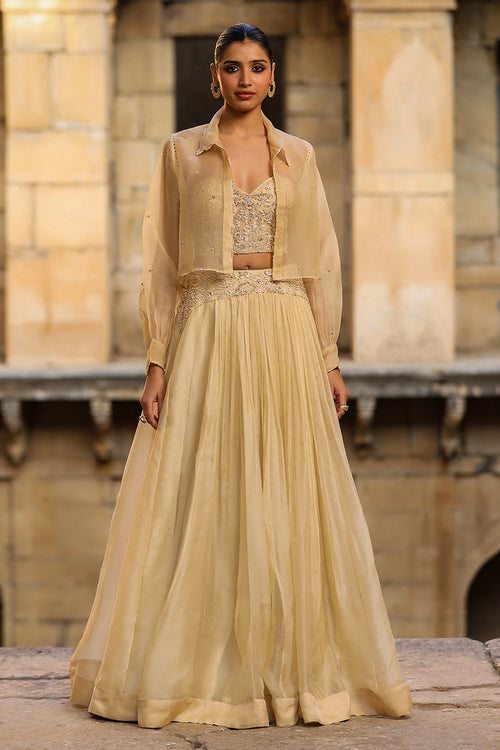 Vaayu Beige Jacket Lehenga Set