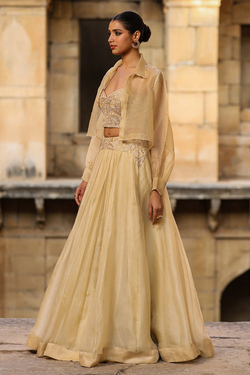 Vaayu Beige Jacket Lehenga Set