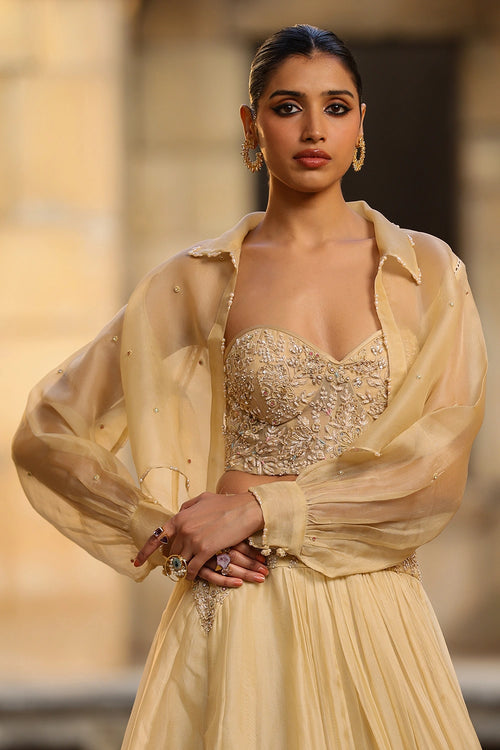 Vaayu Beige Jacket Lehenga Set