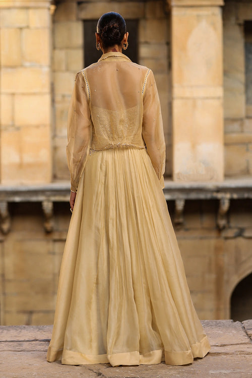 Vaayu Beige Jacket Lehenga Set