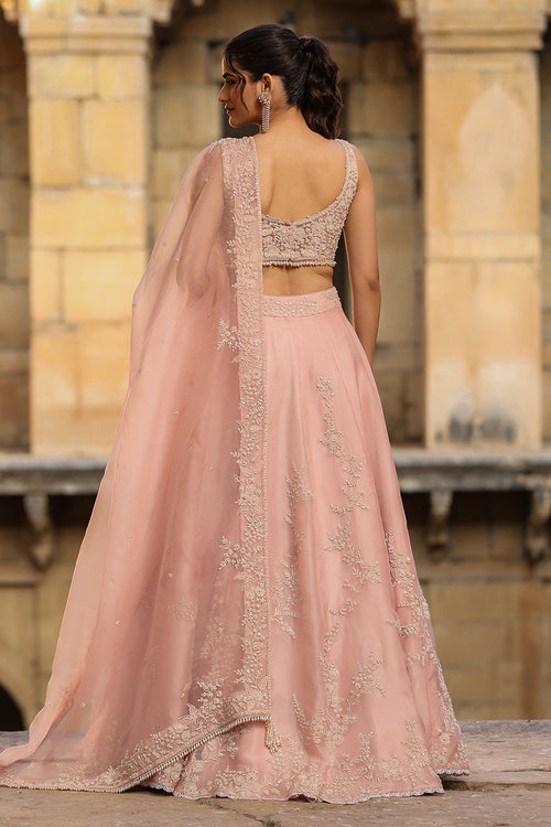 Vaayu Light Pink Jaal Lehenga Set