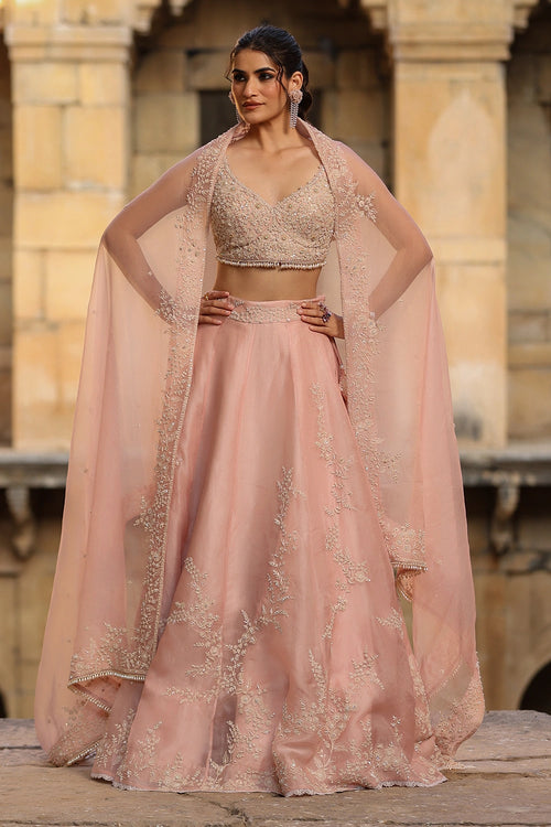 Vaayu Light Pink Jaal Lehenga Set