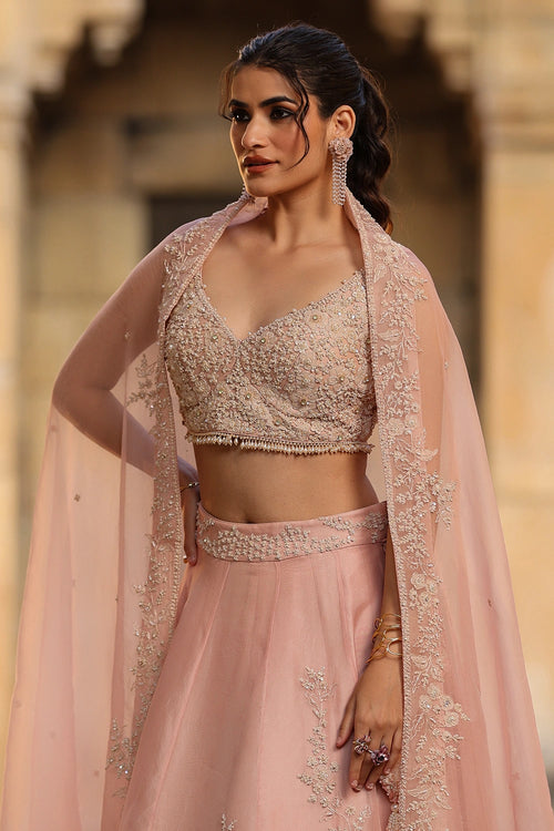 Vaayu Light Pink Jaal Lehenga Set