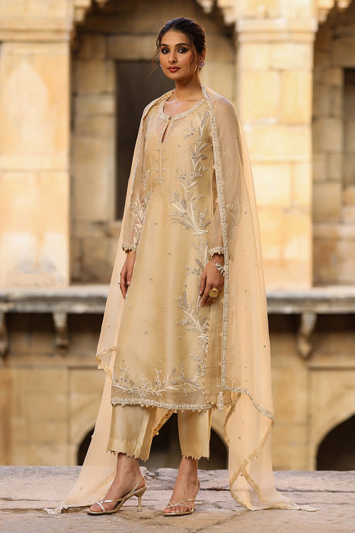 Vaayu Beige Phool Patti Kurta Set