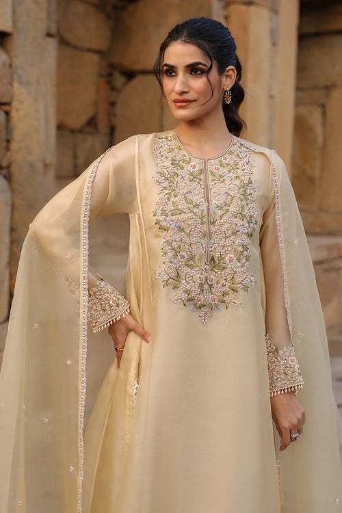 Vaayu Beige Pheran Kurta Set