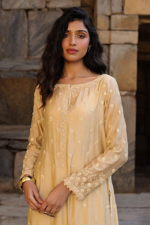 Vaayu Beige Light Buti Kurta Set
