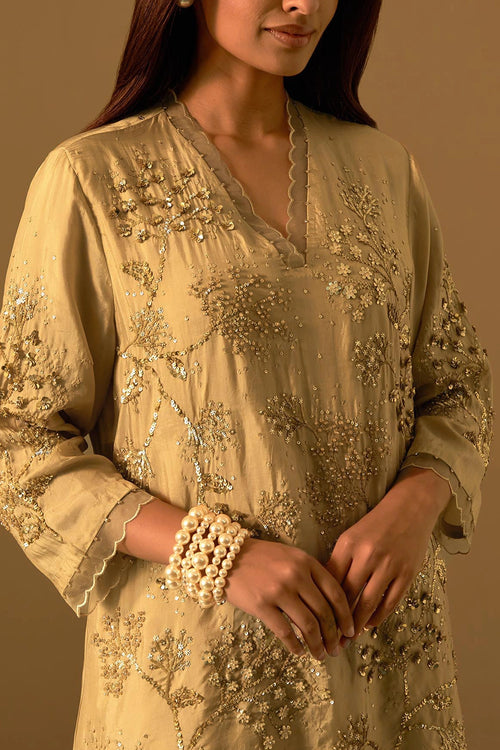 Shell Floral Embroidered Silk Sharara Set
