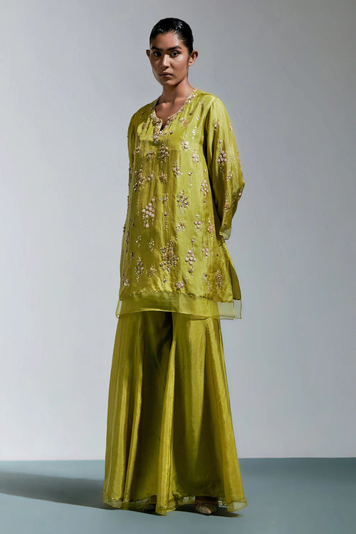 Henna Abstract Floral Embroidered Silk Sharara Set