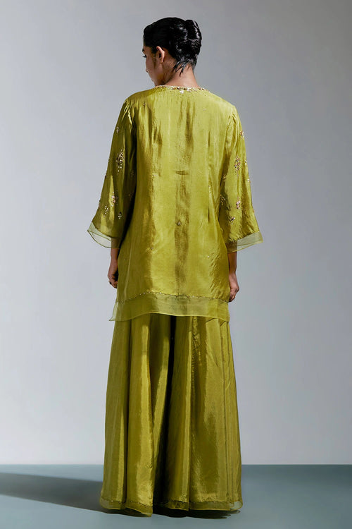 Henna Abstract Floral Embroidered Silk Sharara Set