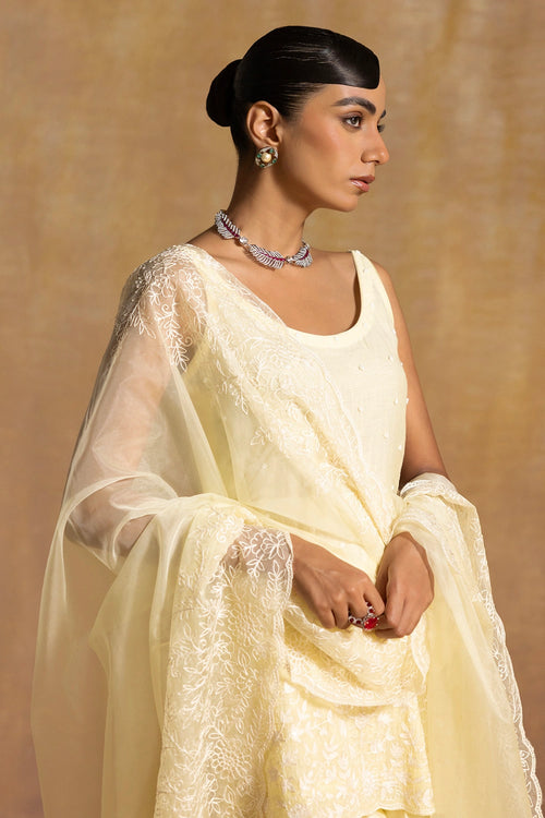 Dilruba Butter Yellow Sharara Set