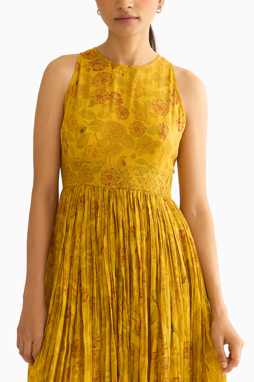 Aswini Bird Print Anarkali