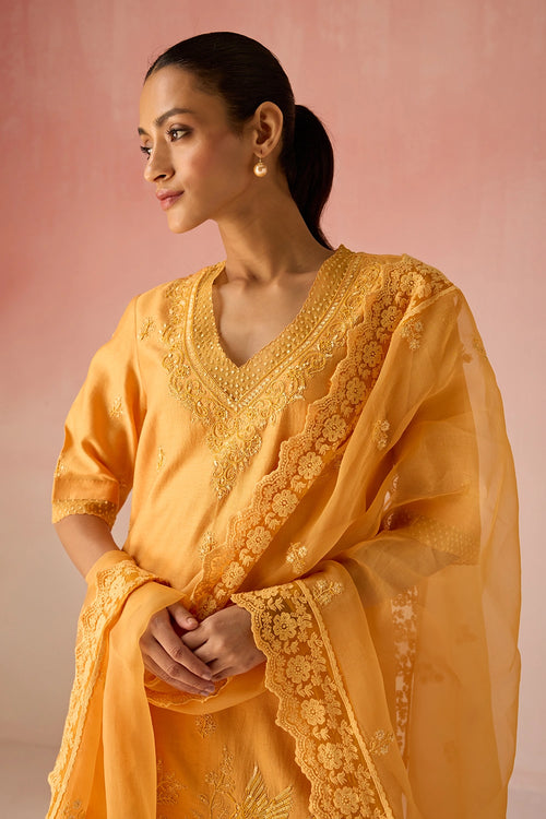 Ochre Bahaara Chanderi Silk Sharara Set