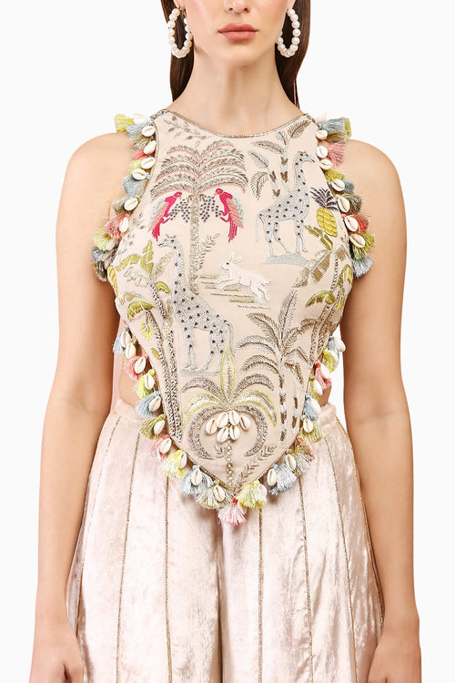 Stone Embroidered Choli with Sharara