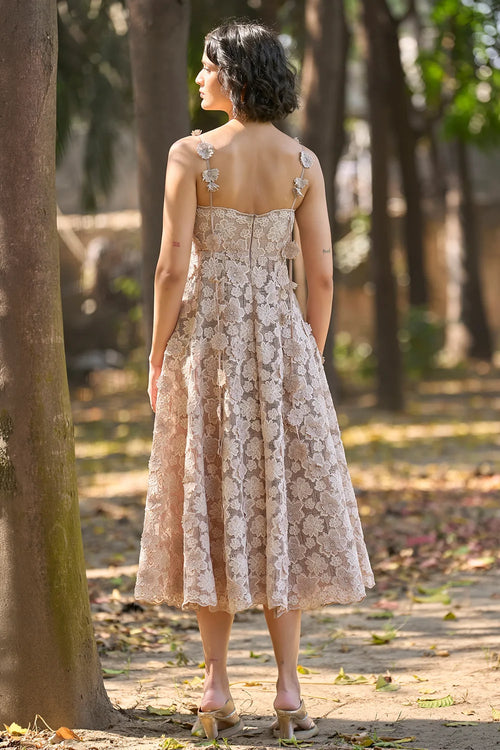 Taupe Floral Appliqué Lace Midi Dress