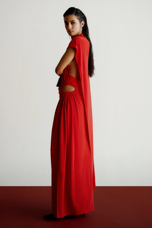 Sari Dress