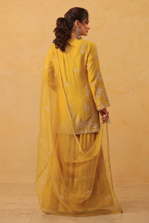 Vaayu Yellow Heavy Sharara Set