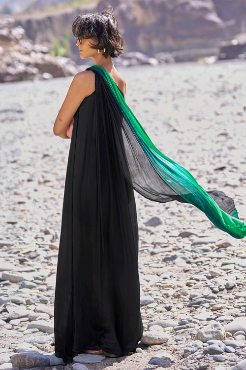 Ombré  Draped Sari Gown