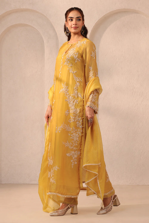 Vaayu Yellow Jaal Straight Kurta Set