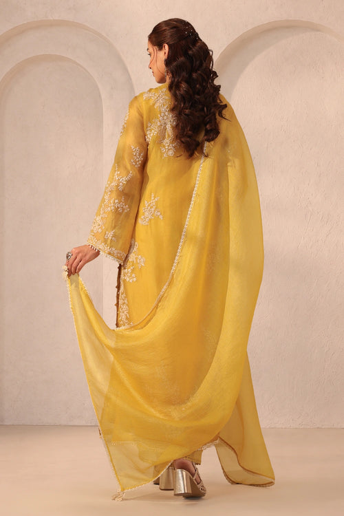 Vaayu Yellow Jaal Straight Kurta Set