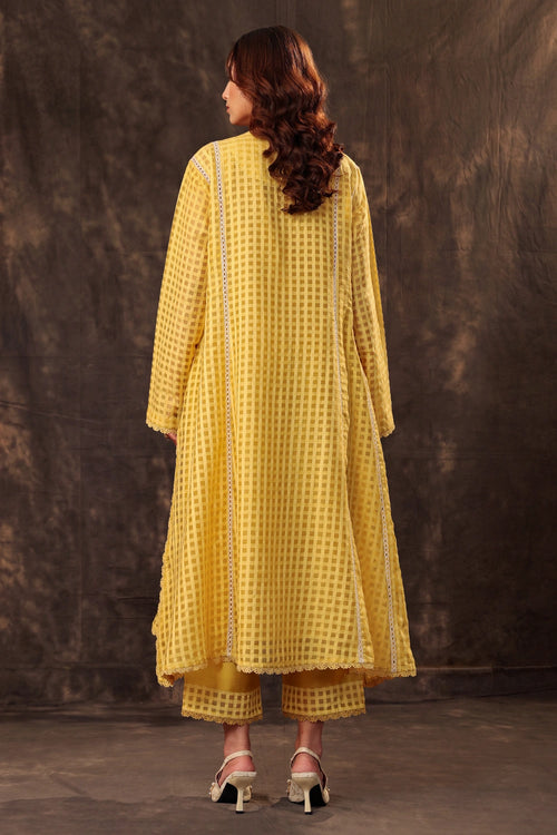 Vaayu Yellow Panelled Kalidar Set