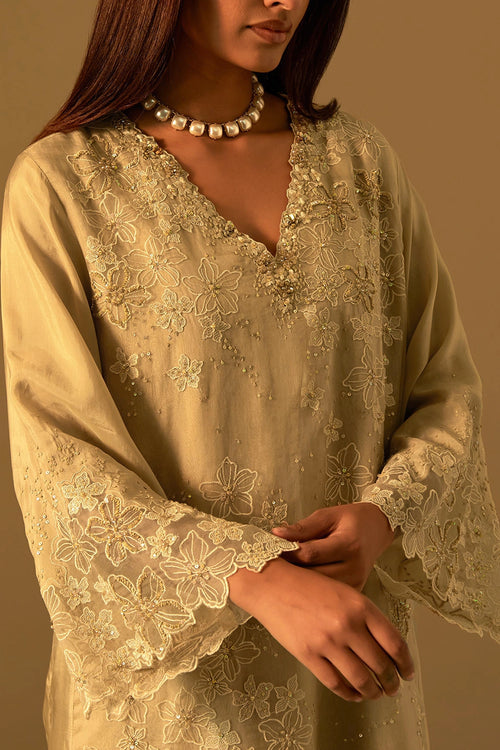 Shell Floral Threadwork Organza Kurta Set