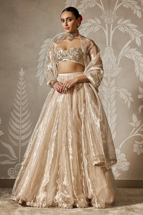 Zarish Lehenga Set